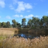 Zdjęcie z Australii - Rozlewiska strumienia Glenloth Creek