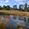 Zdjęcie z Australii - Rozlewiska strumienia Glenloth Creek