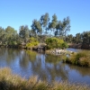 Zdjęcie z Australii - W sierpniu znowu wracam nozlewiska strumienia Glenloth Creek