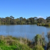 Zdjęcie z Australii - I znowu wracam nad stawy w Seaford Meadows