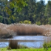 Zdjęcie z Australii - Rozlewiska strumienia Glenloth Creek