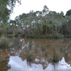 Zdjęcie z Australii - Rozlewiska Warriparingga Wetlands