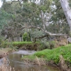 Zdjęcie z Australii - Sturt River