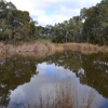 Zdjęcie z Australii - Wracam nad rozlewiska