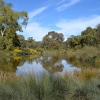 Zdjęcie z Australii - Niedawno odkrylem kolejne piekne miejsce - Rozlewiska Oakland Wetlands 