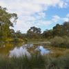 Zdjęcie z Australii - Rozlewiska Oakland Wetlands