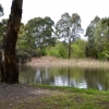 Zdjęcie z Australii - Staw na strumieniu Patpa Creek