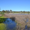 Zdjęcie z Australii - Rozlewiska Kityaparri zasilane przez strumien Pedler Creek