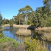 Zdjęcie z Australii - Rozlewiska strumienia Christies Creek w Morphett Vale