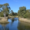 Zdjęcie z Australii - Idac wzdluz malego trumyczka docieram do strumienia Christies Creek