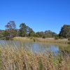 Zdjęcie z Australii - Mniejszy ze stawow w Seaford Meadows