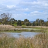 Zdjęcie z Australii - Rozlewiska Hart Road Wetlands