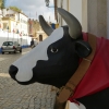 Zdjęcie z Portugalii - sympatyczna krówka, będąca logiem znanej tu sieci sklepów "Ale Hop"