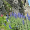 Zdjęcie z Portugalii - Trekking po szczytach Madery