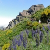 Zdjęcie z Portugalii - Trekking po szczytach Madery