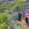 Zdjęcie z Portugalii - Trekking po szczytach Madery