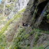 Zdjęcie z Portugalii - Trekking po szczytach Madery