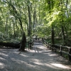 Zdjęcie z Polski - Woliński Park Narodowy