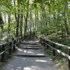 Zdjęcie z Polski - Woliński Park Narodowy