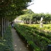 Zdjęcie z Niemiec - na tyłach Residenz- mały , ale urokliwy Ogród Różany 