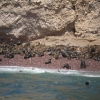 Zdjęcie z Peru - Islas Ballestas