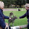 Zdjęcie z Australii - Masz cos dobrego?