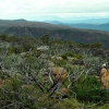 Zdjęcie z Australii - Panorama Grampians...