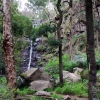 Zdjęcie z Australii - Silverbend Waterfall