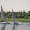 Zdjęcie z Egiptu - Feluki na Nilu.