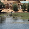 Zdjęcie z Egiptu - Zwykły dzień nad Nilem .