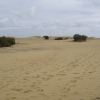 Zdjęcie z Hiszpanii - Maspalomas