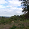 Zdjęcie z Australii - Park Narodowy Onkaparinga