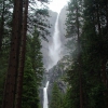 Zdjęcie ze Stanów Zjednoczonych - Park Yosemite