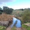 Zdjęcie z Australii - Field River Valley