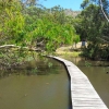 Zdjęcie z Australii - Rezerwat Marist Park