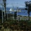 Zdjęcie z Australii - Bell Bay (Tasmania)